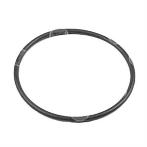 ANEL ORING FLANGE EIXO PLANETARIO CAIXA CAMBIO 4X82X90MM 32007630 T22007