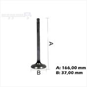 VALVULA DESCARGA 60° 00702003 VS1137