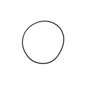 ANEL CAMISA MOTOR 02418002 AV0212003-00000121