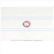 ARRUELA INTERNA CAIXA SATELITE 32002745 T15304