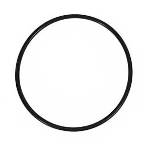 ANEL ORING FILTRO CENTRIFUGO MOTOR 32002989 504325903