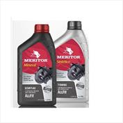 BALDE OLEO SINTETICO CAMBIO/DIFERENCIAL 75W90 20L 19027004 75W90-20L