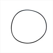 ANEL ORING CAIXA PINHAO 19029002 5X1289