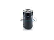 ELEMENTO FILTRO COMBUSTIVEL 07601078 WF10293