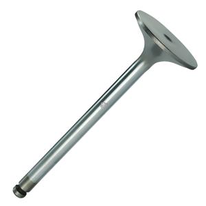 VALVULA ADMISSAO MOTOR 36001506 7.51208