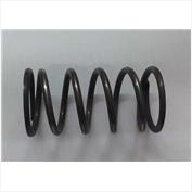 MOLA PISTAO CAIXA DIFERENCIAL 19011047 950009