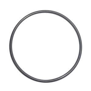 ANEL ORING CANO TURBINA 36014143 7.58235