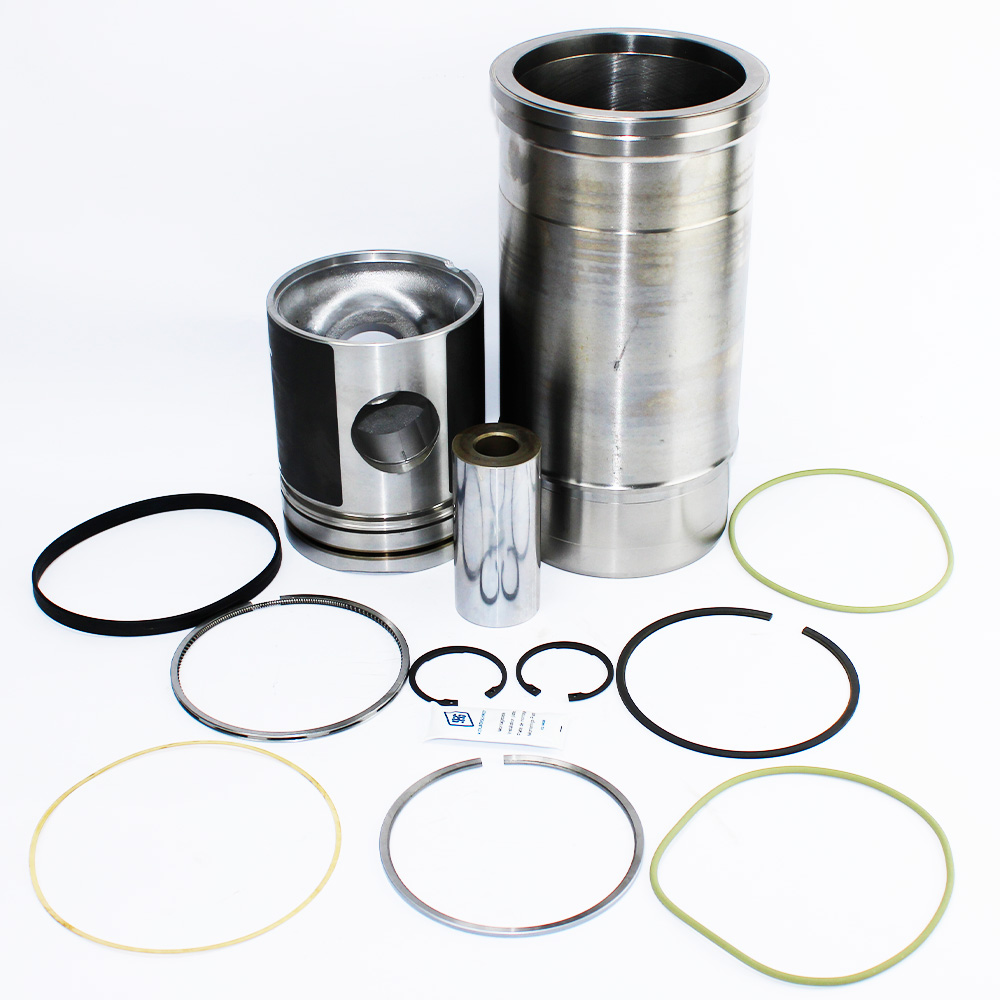 KIT MOTOR STD -0,4 C/ANEL CAMISA - Roni Chaves