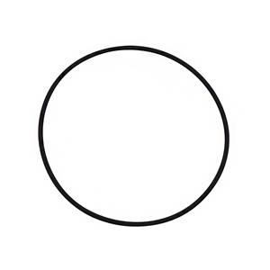 ANEL ORING FILTRO CENTRIFUGO LUBRIFICANTE MOTOR 36014307 1.10710