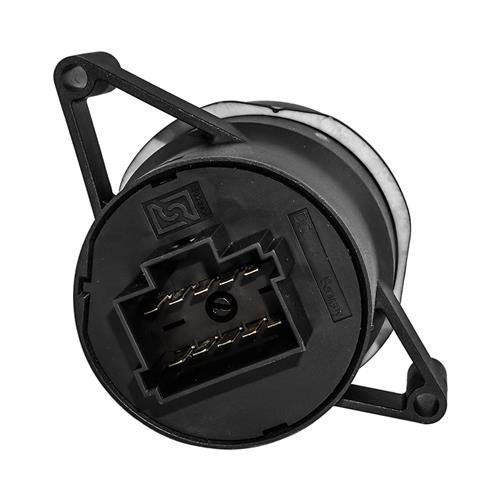 INTERRUPTOR FAROL 36009233 4.65169 