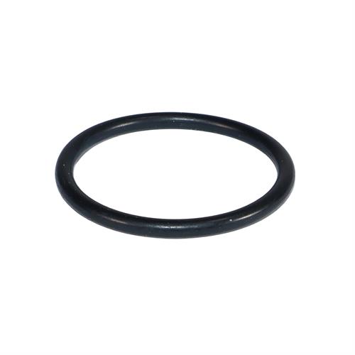 ANEL VEDACAO VALVULA TOP BRAKE 50045330 5419970445DT 