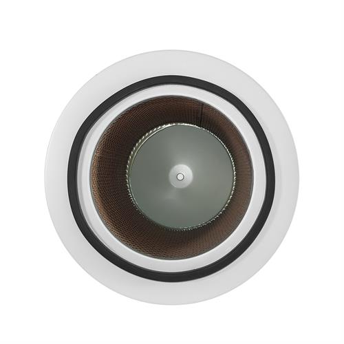 ELEMENTO FILTRO AR 36001556 1.10301 