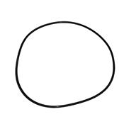 ANEL ORING CARCACA DIFERENCIAL 70003709 2R0525491